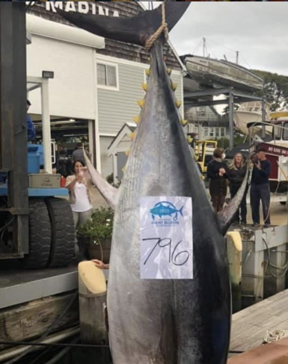 TE-tuna2-2021